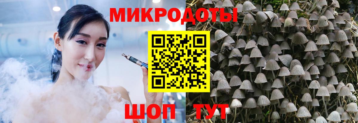Советский  Псилоцибиновые грибы Psilocybe  Вход с VPN 
